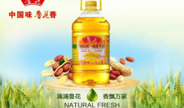 鲁花花生油广告视频,家的味道，健康的选择