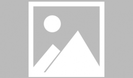 马配马视频,一场跨越时空的浪漫邂逅