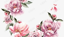 动漫花,动漫中的浪漫与成长